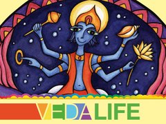VEDALIFE-2012 