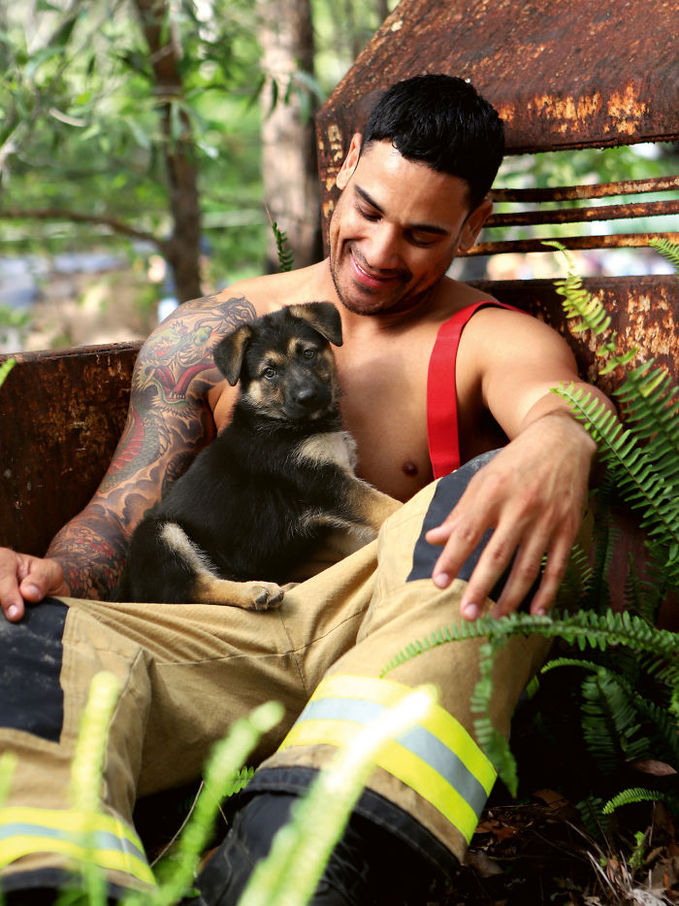Календар, який ми заслужили: австралійські пожежники в фотосесії з тваринами