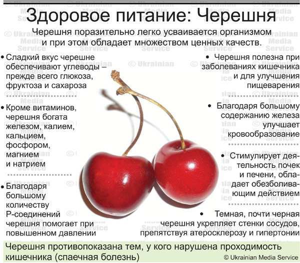 Черешня Сайт Магазин Одежды