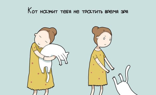 9 причин иметь кота