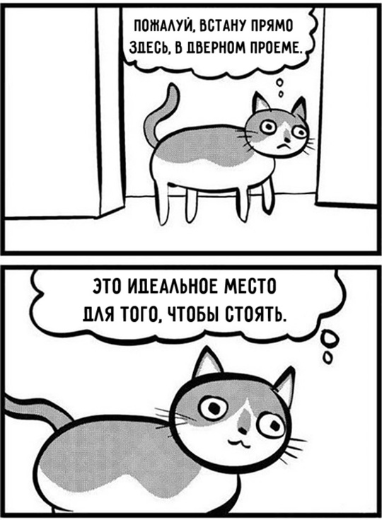 Комиксы про котов