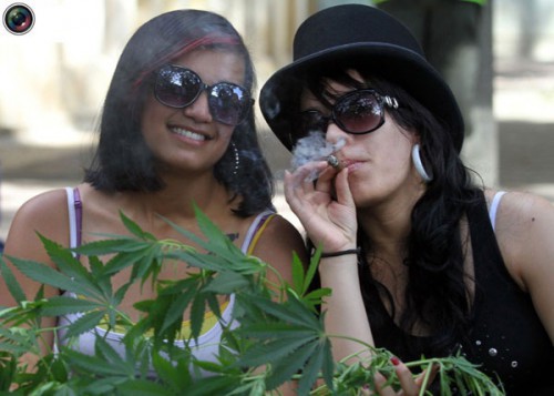 Легализация марихуаны