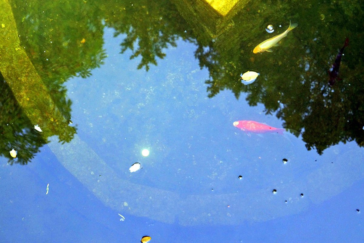 Деревня Castle Combe