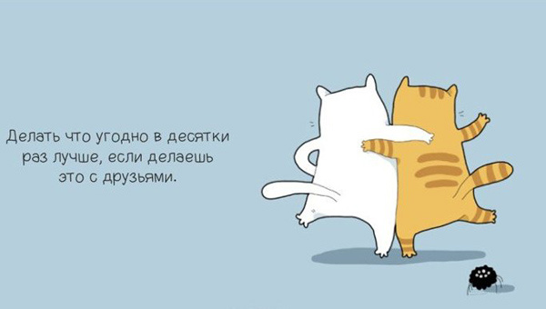 Когда моему коту грустно