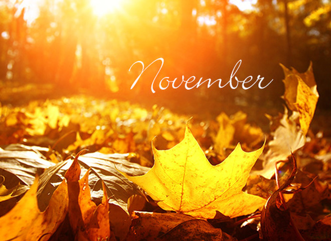 Каждый день в истории: события ноября, о которых ты должна знать