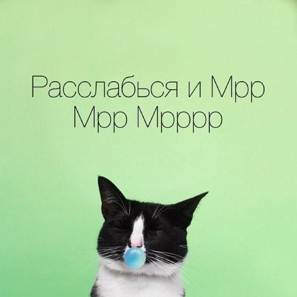 Жизнь мур! мур!