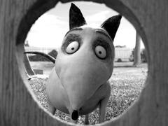 Франкенвини