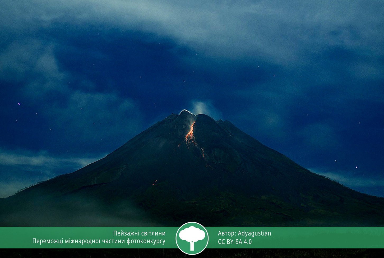 найкращі фото природи 2021