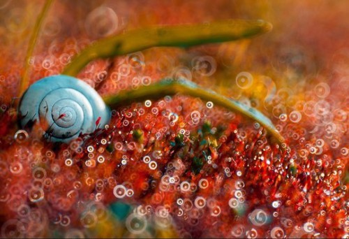 Топ позитива