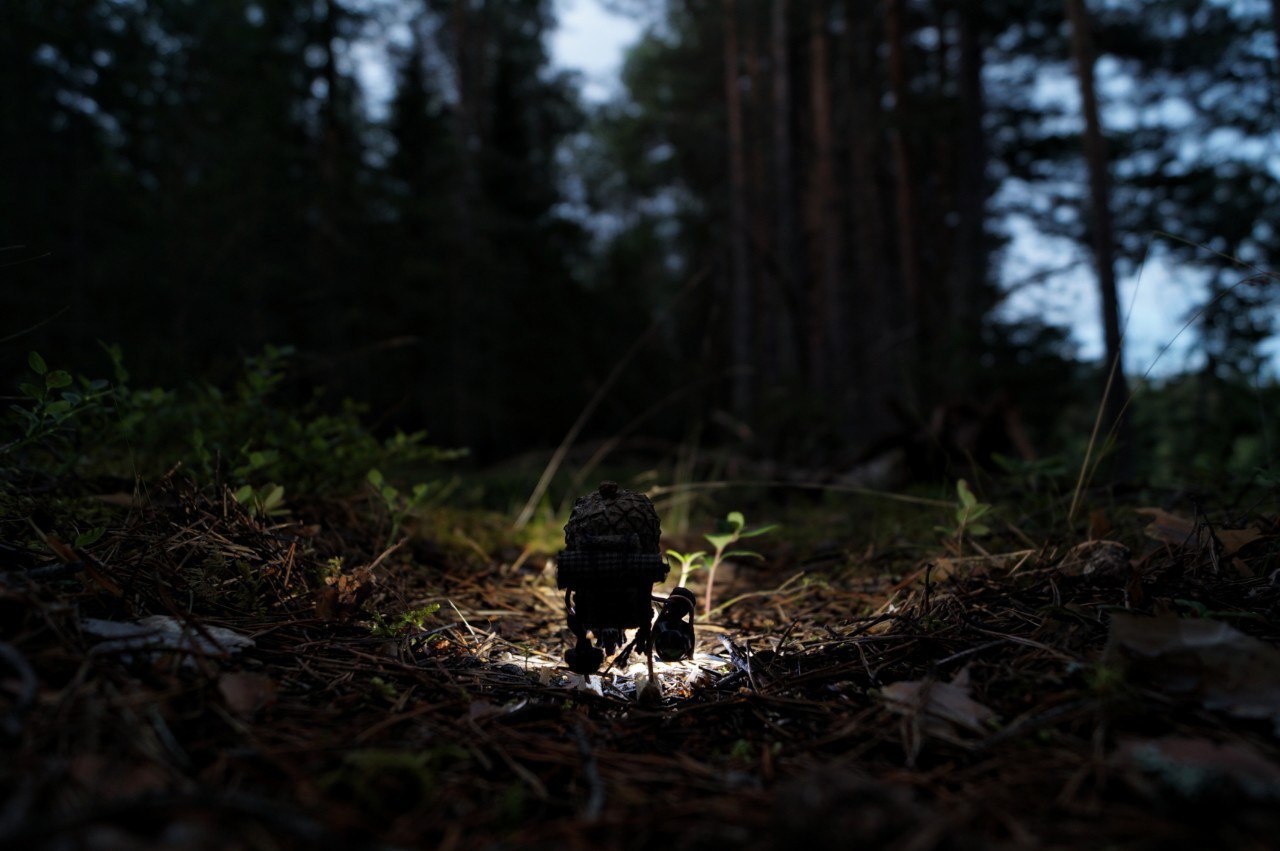 #ПутешествиеСосновойШишки часть 3