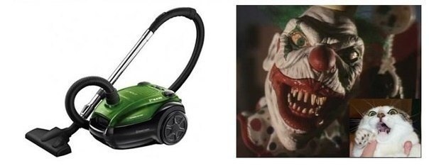 Кот & человек