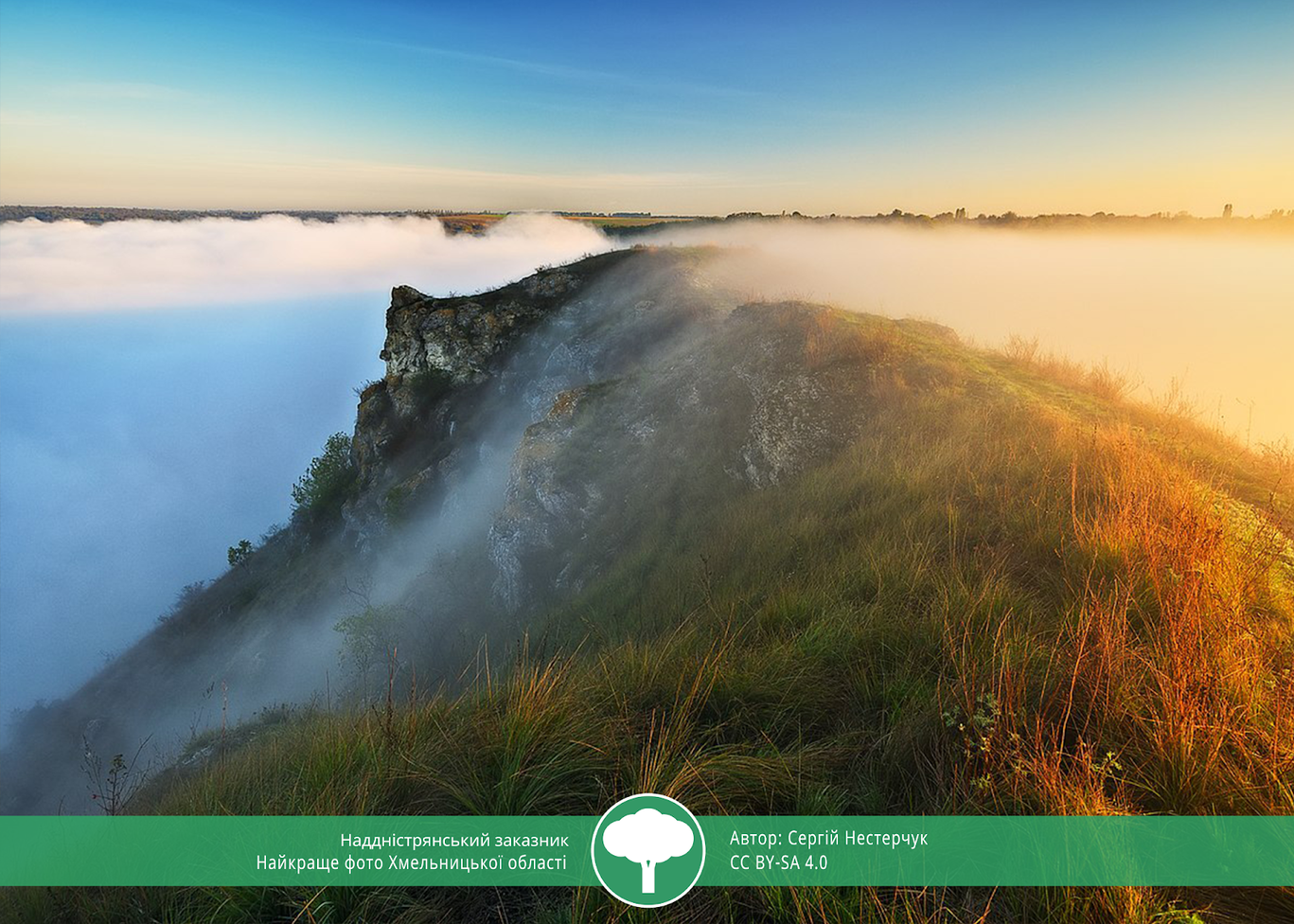 Вики любит Землю 2021