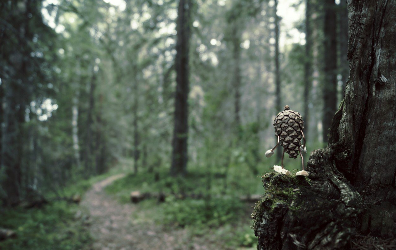 #ПутешествиеСосновойШишки часть 1