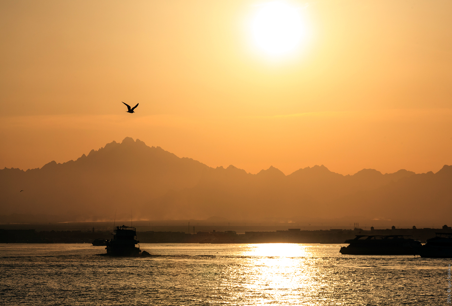 Египет, заповедник Махмея