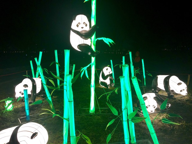 Фестиваль китайських ліхтарів 2019: киян запрошують встановити рекорд на наймасовіше селфі