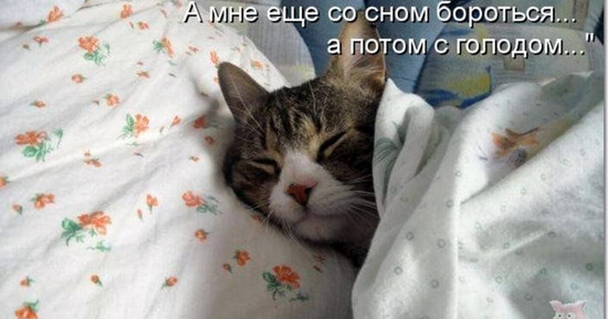 Там поспать. Доброе утро ямеще сплю. Доброе сонное утро. Котик проснулся. Я еще сплю.