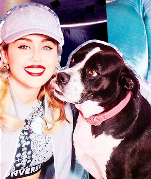 Майли Сайрус