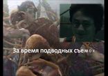 Интересные факты. Гарри Поттер - Дэниэл Рэдклифф