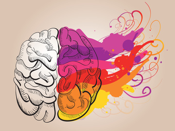 Руйнуємо міфи: 8 хибних думок про людський мозок