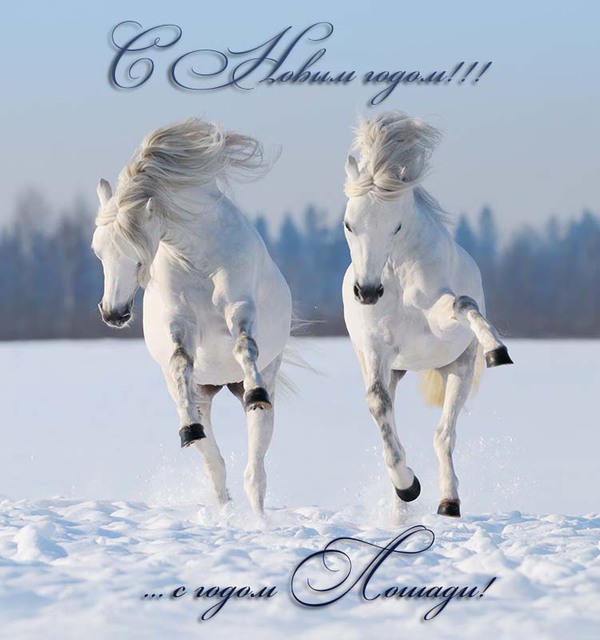 Новогодние открытки с лошадьми (47 фото) » Рисунки для срисовки и не только
