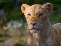 "Король Лев"