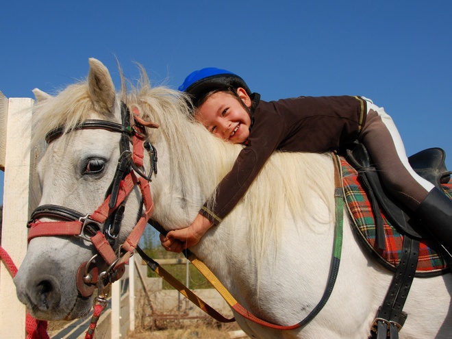 Весняні канікули: чим зайняти дитину - tochka.net