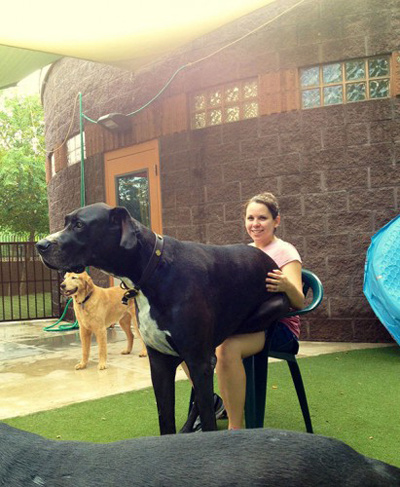 Самые "миниатюрные" собачки