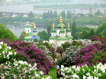 Куда поехать на майские 2012: Сирень в Киевском ботсаду