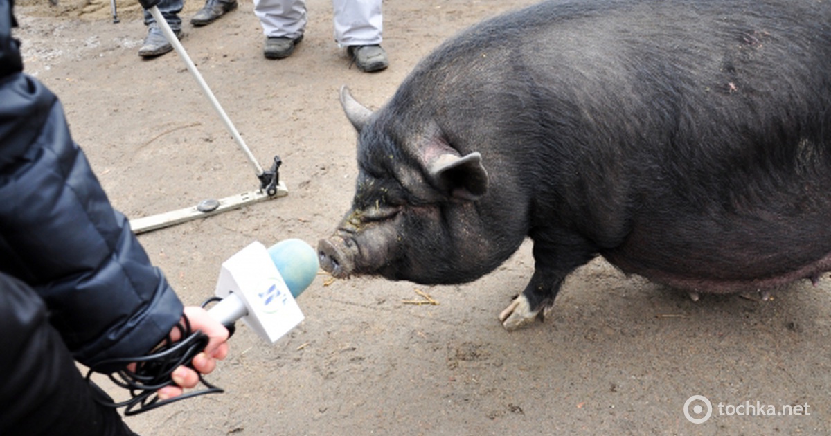 a89d8d5720b82a2a303df79caf07ab56_0001_6d