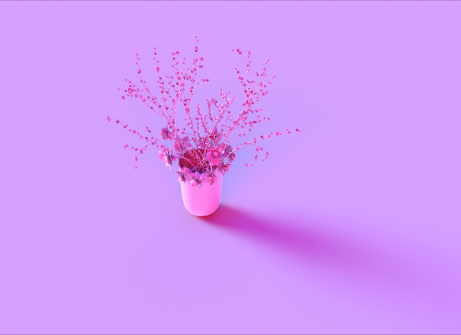 Приметы 24 августа 2020