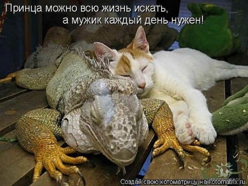 Семья