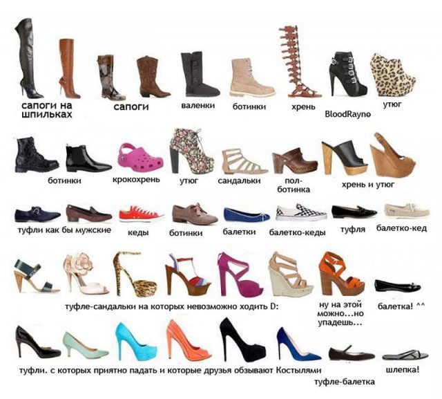 Реальное название женской обуви