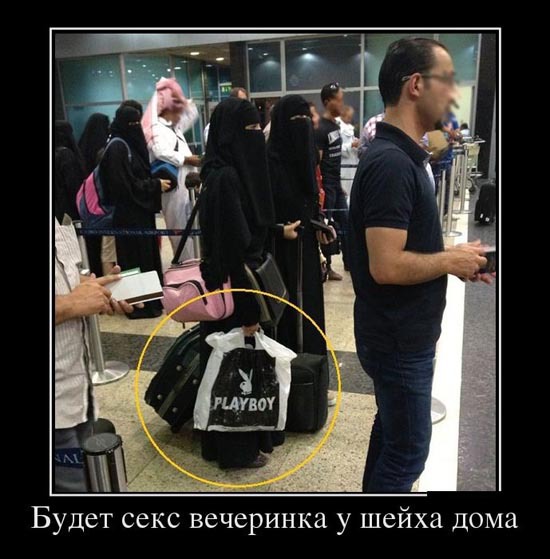 ТОП лучших демотиваторов