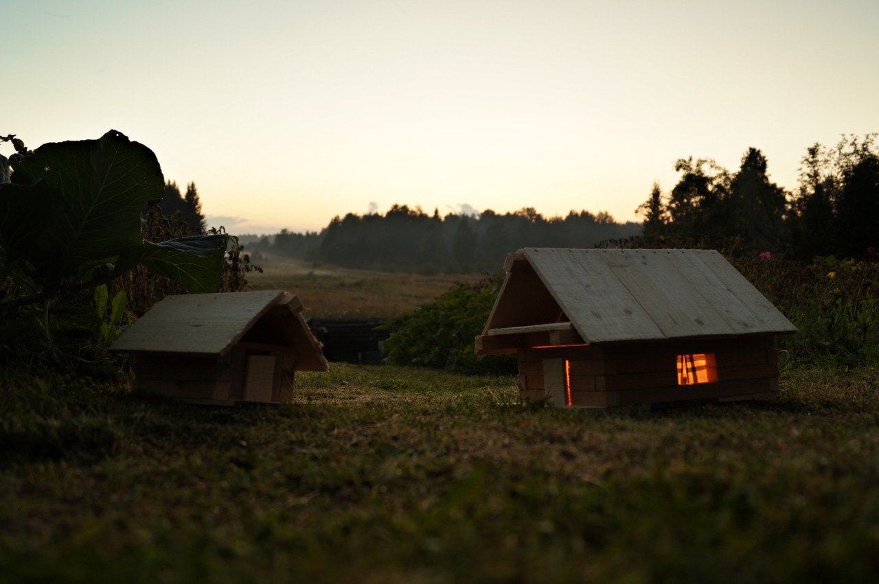 #ПриключениеСосновойШишки часть 9