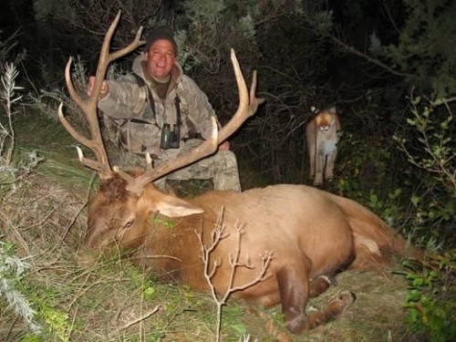 Жизнь - веселая штука