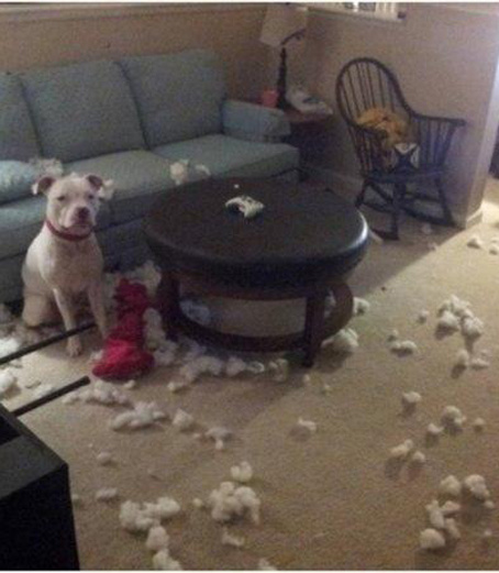 Я просто мимо проходил