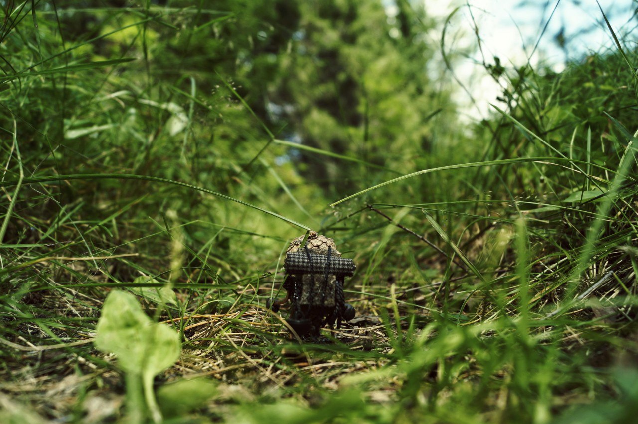 #ПутешествиеСосновойШишки часть 6