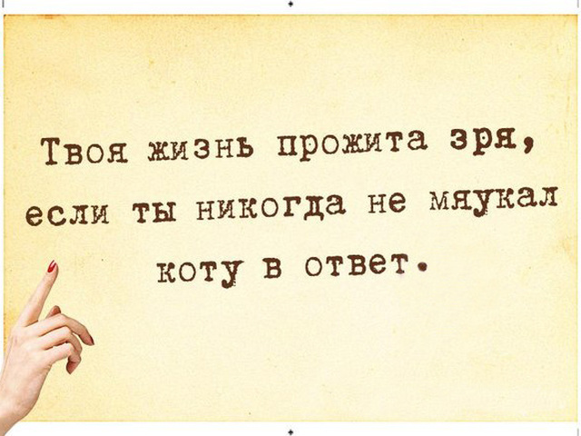 сейчас картинки ты это зря телевидение знаем его