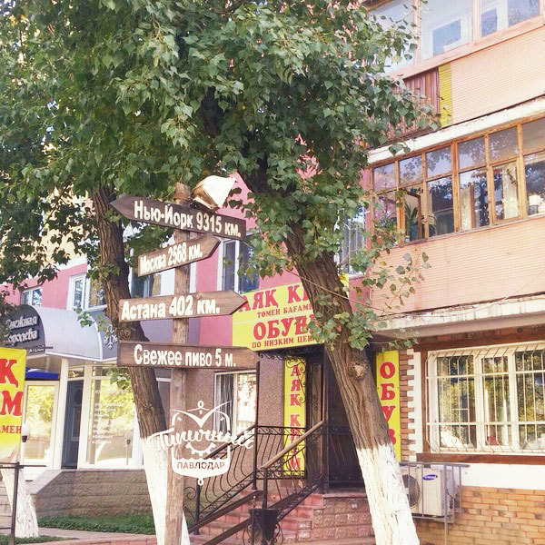 Маразмы месяца