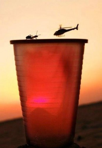 Интересные ракурсы