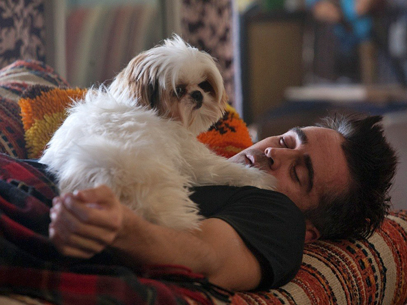 Кадры из фильма Семь психопатов