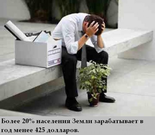 Топ интересных фактов