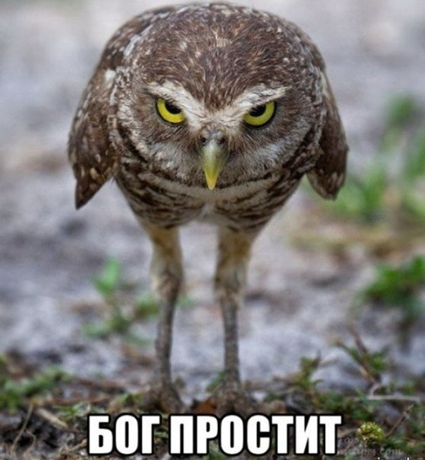 Разговор с любимой