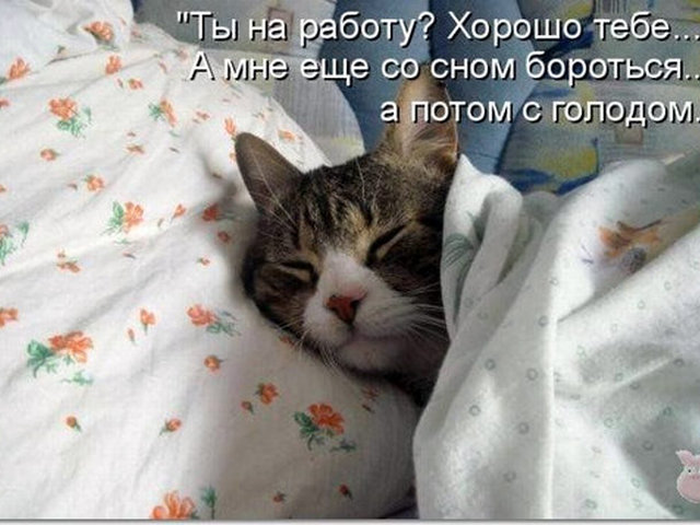 Ты спишь картинки прикольные