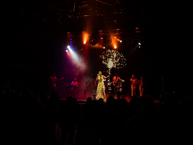 Гости презентации альбома Дианы Глостер