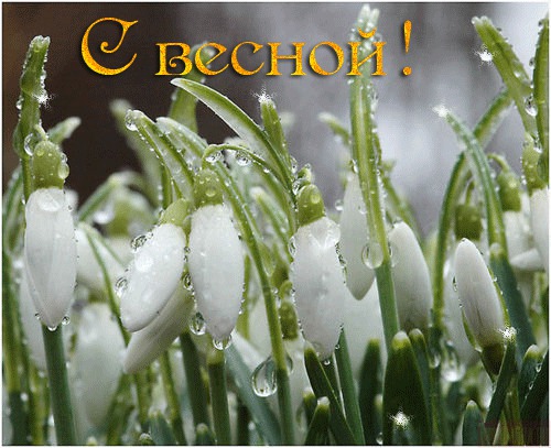 С весной!