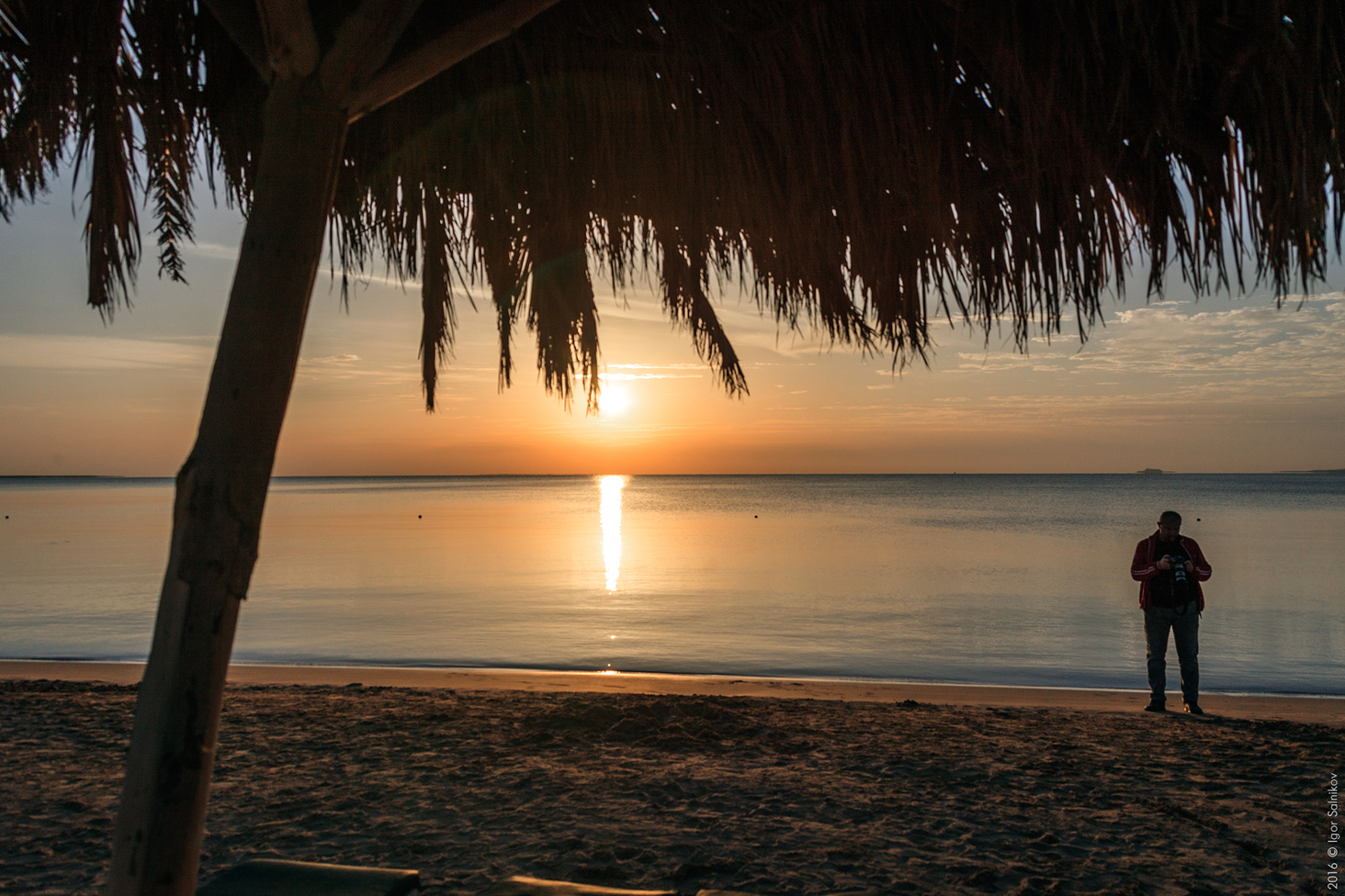 Египет, заповедник Махмея