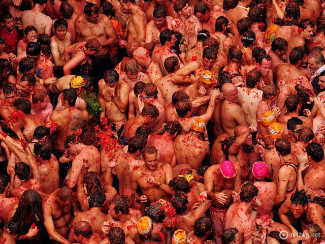 Томатина, Испания