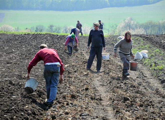 продажа земли