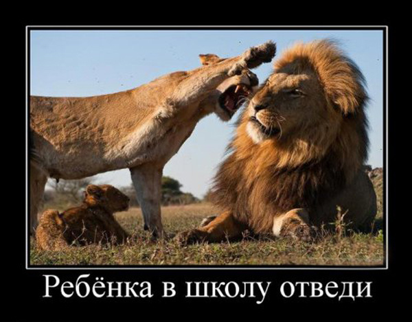 ТОП лучших демотиваторов про школьников